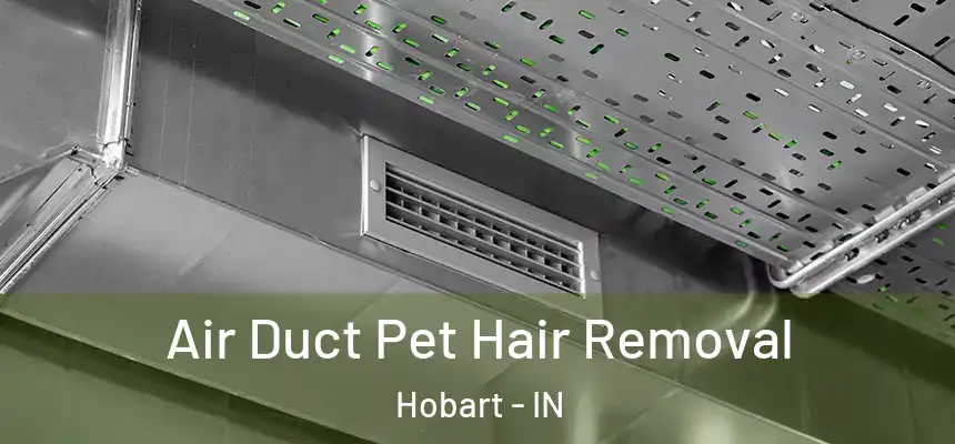  Air Duct Pet Hair Removal Hobart - IN