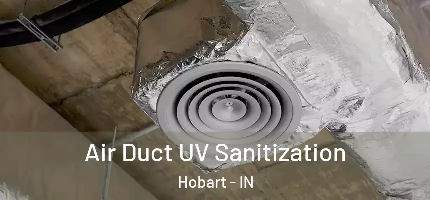 Air Duct UV Sanitization Hobart - IN
