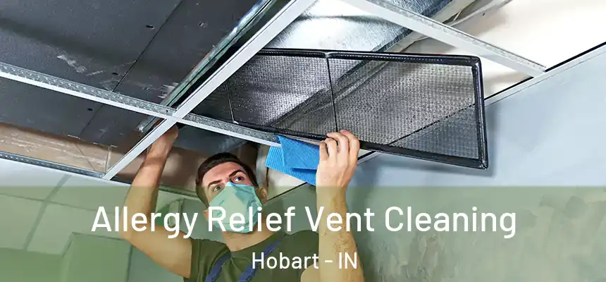 Allergy Relief Vent Cleaning Hobart - IN