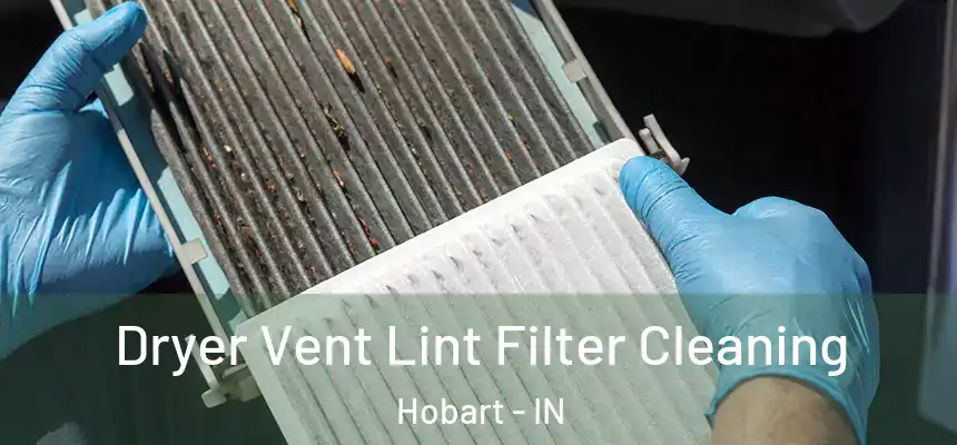  Dryer Vent Lint Filter Cleaning Hobart - IN