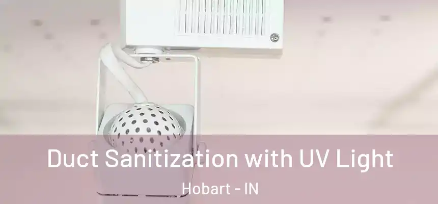  Duct Sanitization with UV Light Hobart - IN