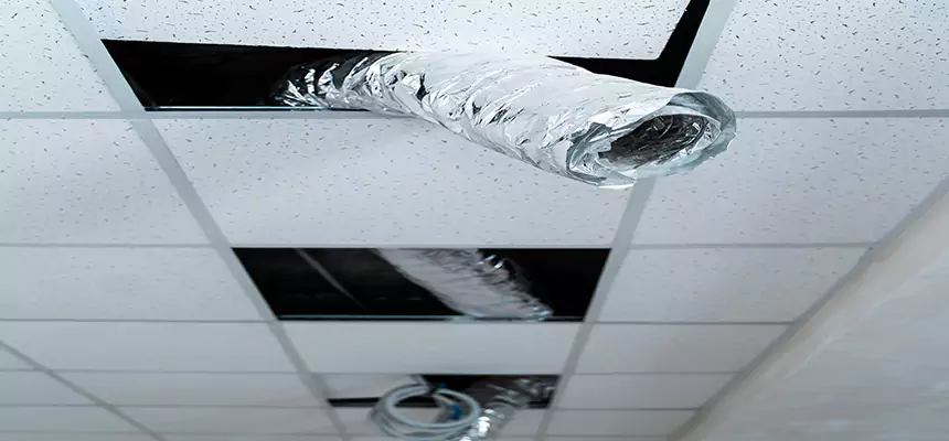 Affordable HVAC Sanitizing After Pest Removal in Hobart