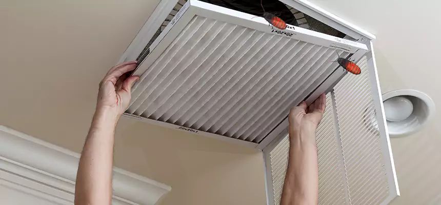 Our Insect Removal from Air Ducts Services in Hobart, IN
