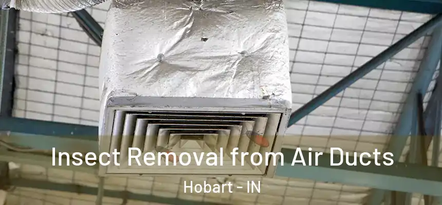  Insect Removal from Air Ducts Hobart - IN