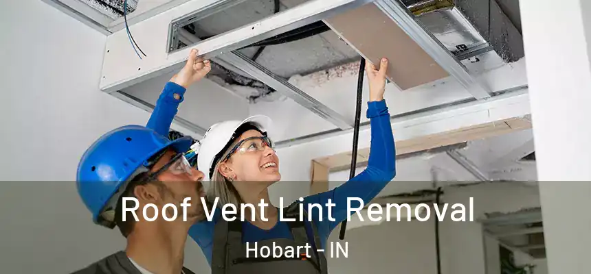  Roof Vent Lint Removal Hobart - IN