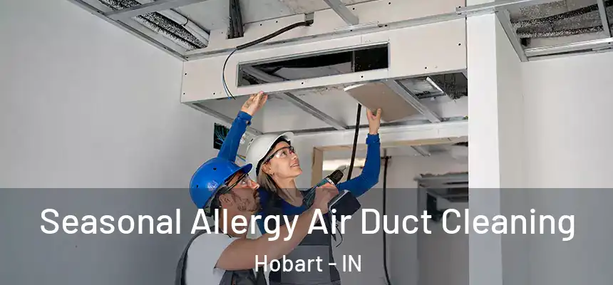  Seasonal Allergy Air Duct Cleaning Hobart - IN