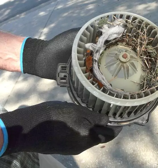 About Air Duct Mice Removal in Hobart, IN