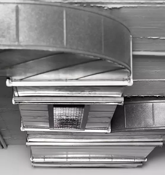 Professional Air Duct Pest Removal in Hobart, IN