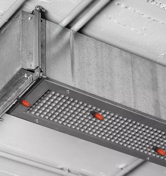 Affordable Insect Removal from Air Ducts in Hobart, IN